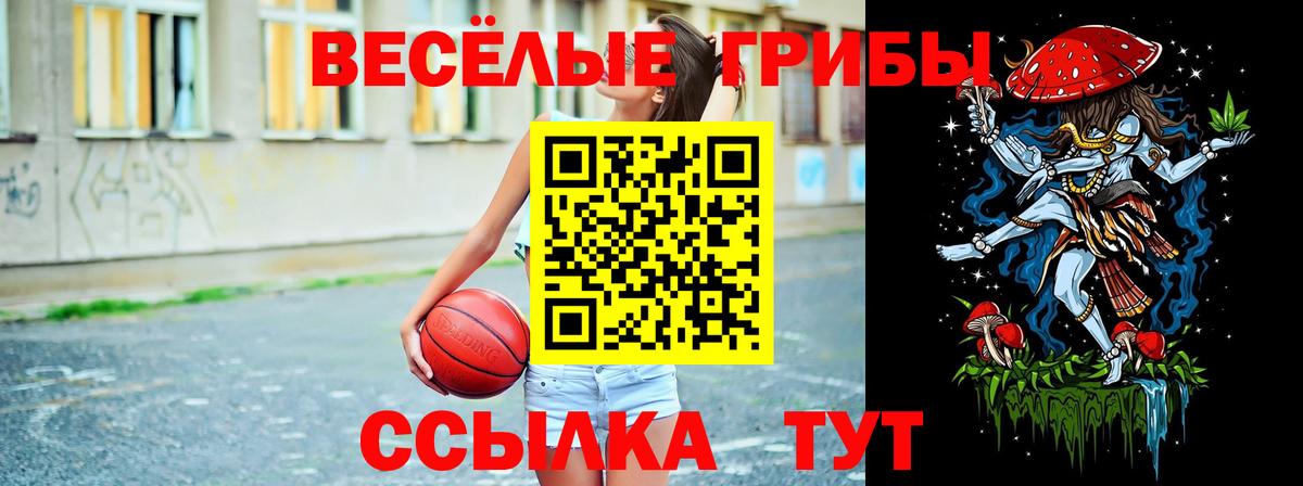 Псилоцибиновые грибы MAGIC MUSHROOMS Карпинск